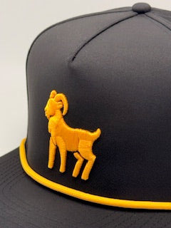 VIVUS Rope Snapback - Black & Gold